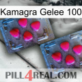 Kamagra Jelly 100 14